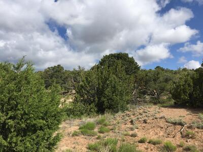 84 Rain Dance Road, Sandia Park 