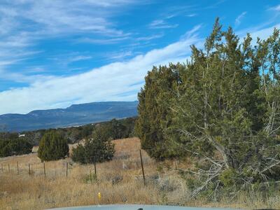 477 Frost Road, Sandia Park 