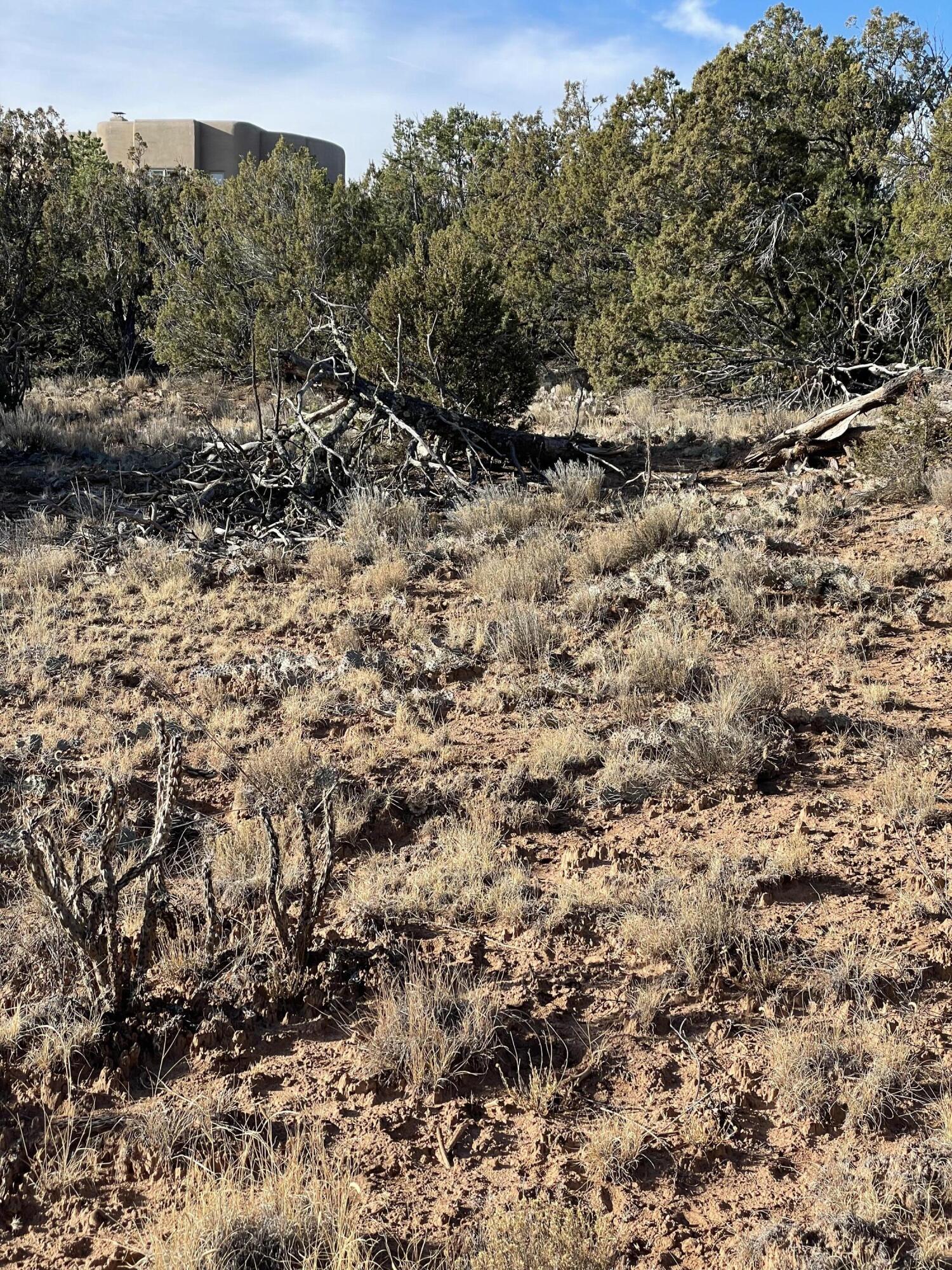 125 Kiva Place - Main Image
