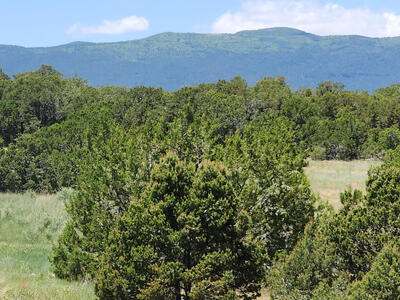 5 RED FOX Court, Tijeras 