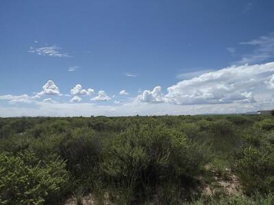 Tr C-2 Salt Mission Trail, Estancia 
