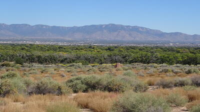5008 CINNAMON TEAL Court NW, Albuquerque 