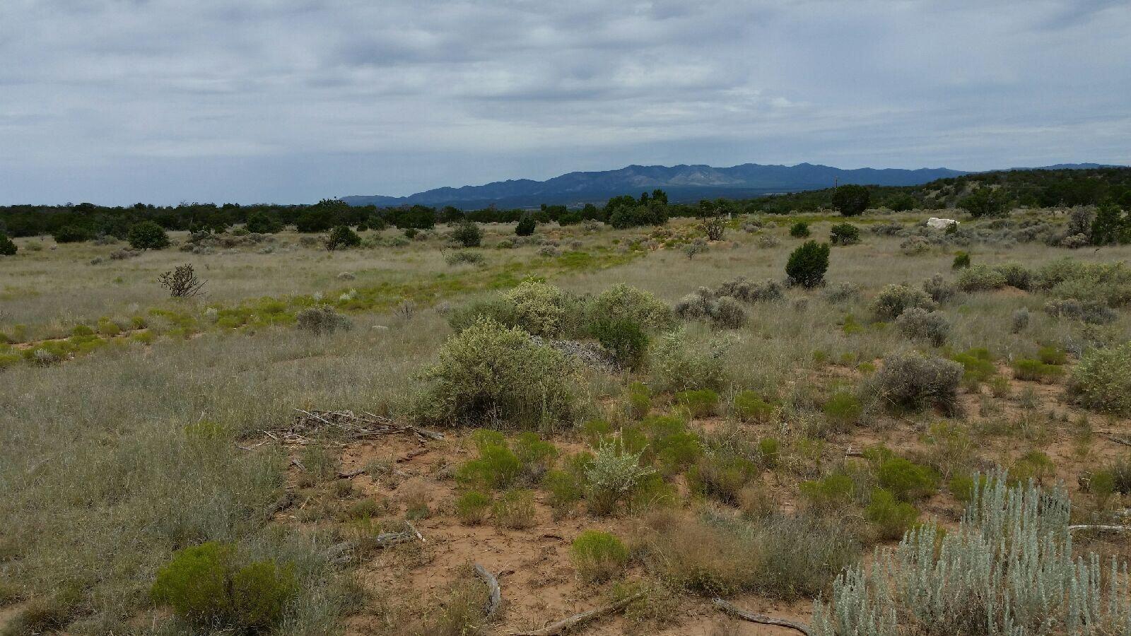 252 KERES Trail - Main Image