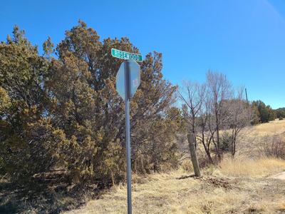 0 Rosewood Drive 12, Tajique 
