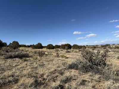 Elegy, Rio Rancho 