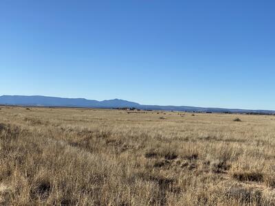 Cricket, Estancia 