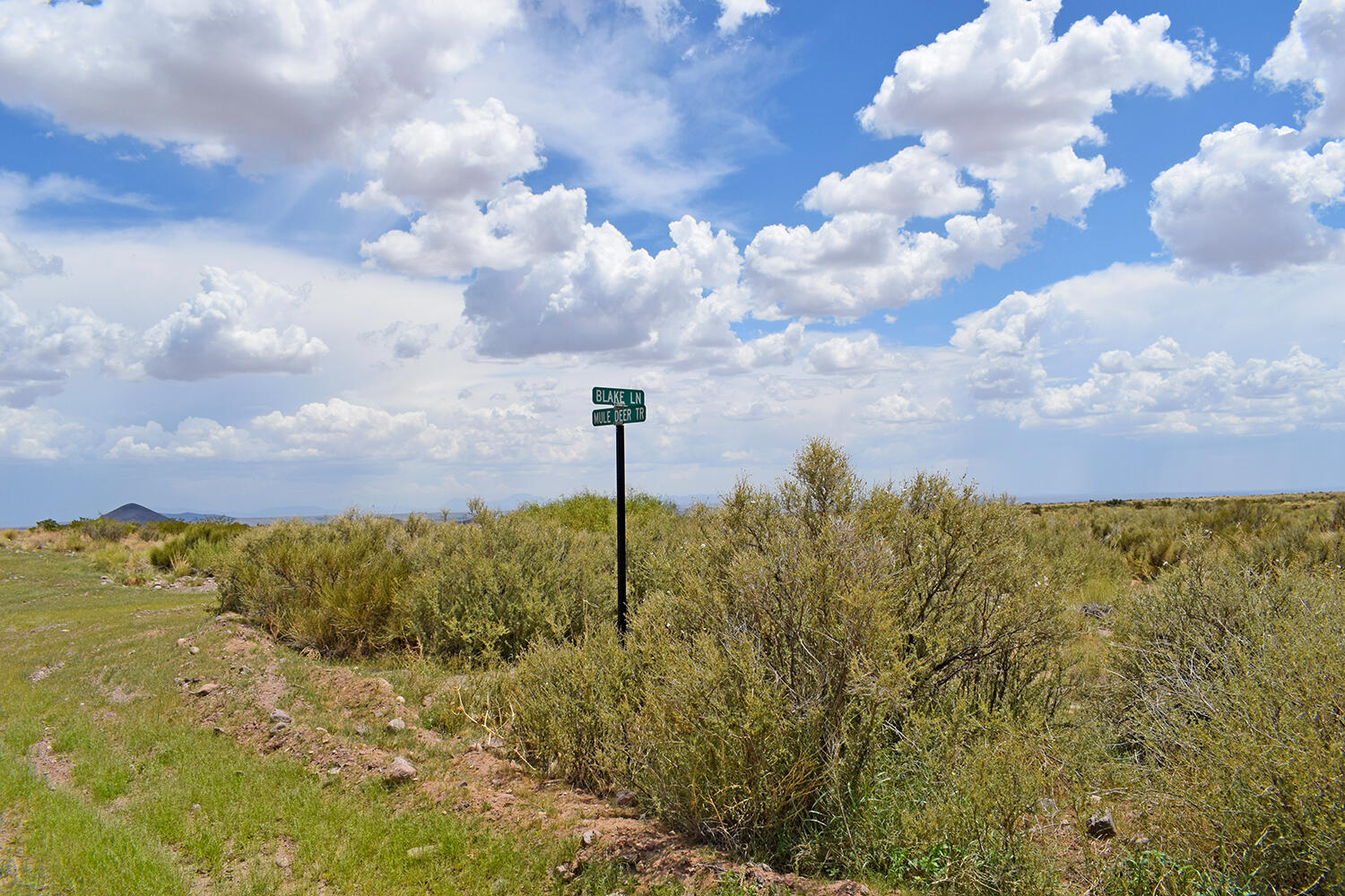 205 Muledeer Trail - Main Image