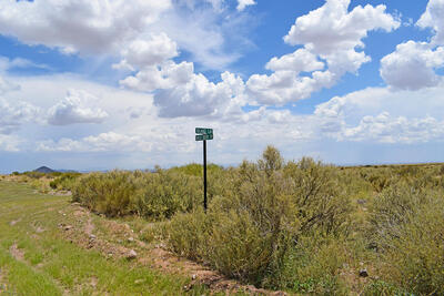 205 Muledeer Trail, San Antonio 