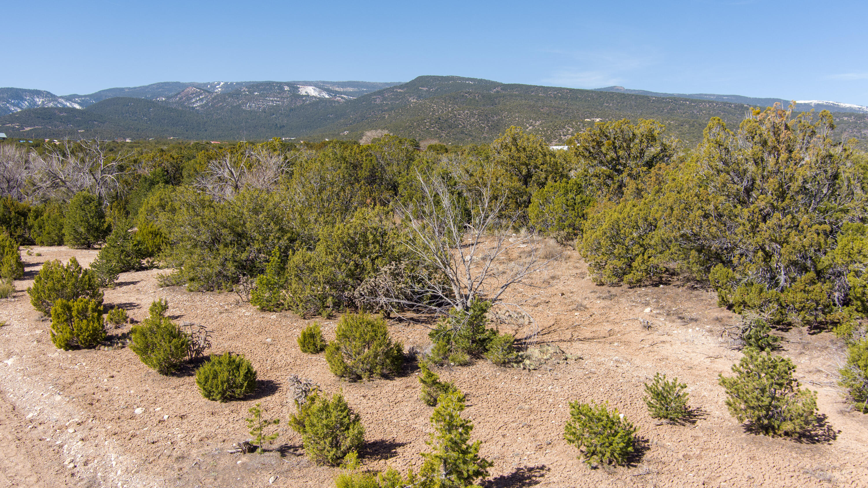 Gunsmoke Road - Main Image