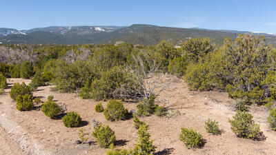 Gunsmoke Road, Sandia Park 