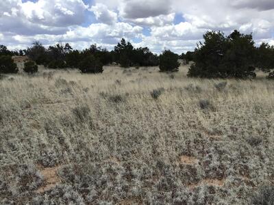 Lot 38 Country Lane, Ramah 