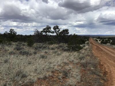 Lot 39 Country Lane, Ramah 