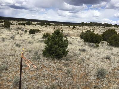 Lot 390 Commanche Drive, Ramah 