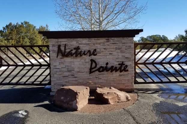 11 Nature Pointe Drive - Main Image