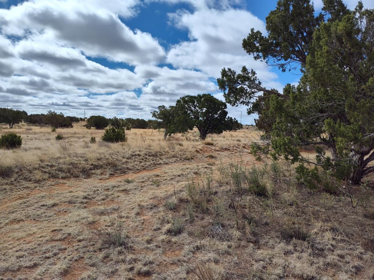 Outskirts Road - Main Image