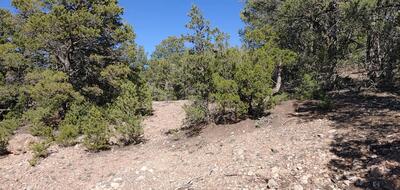 Lakeview Place, Sandia Park 