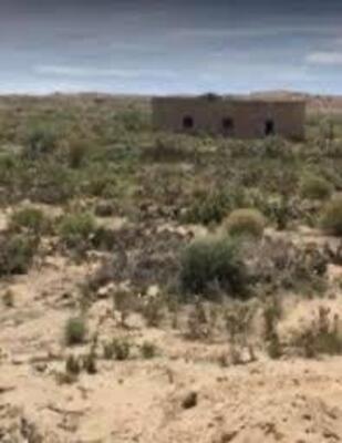 561 Hwy 116, Bosque 