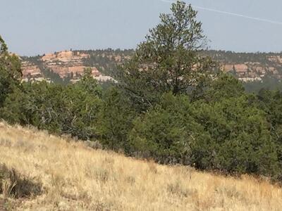 Lot 3 Sunflower Drive, Ramah 