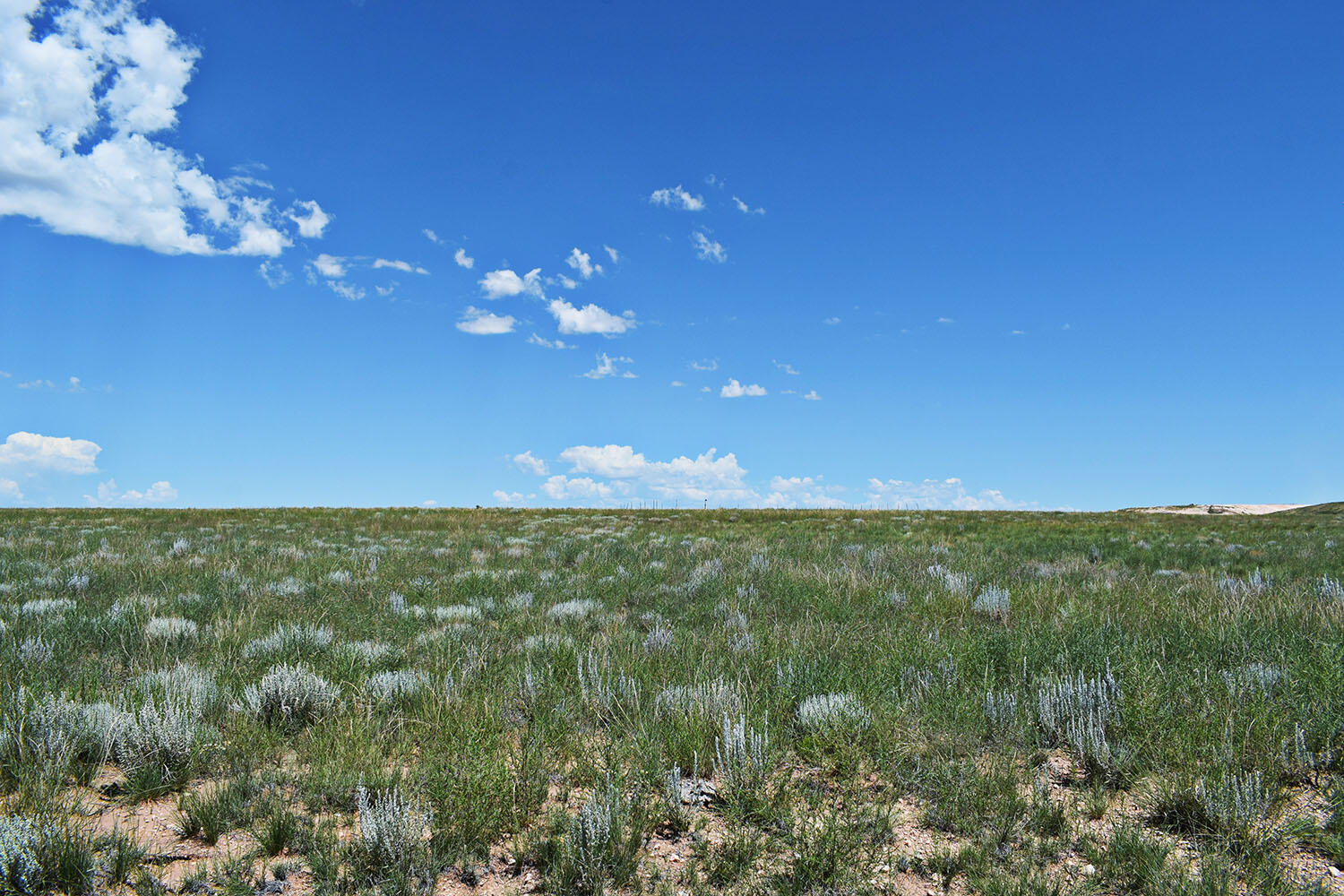 Lot 36 Estancia Ranchettes 6 - Main Image