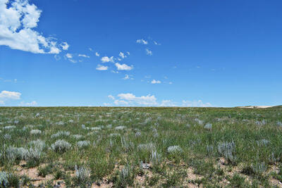 Lot 36 Estancia Ranchettes 6, Moriarty 