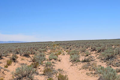 Lot 23 Rio Grande Estates U, Belen 