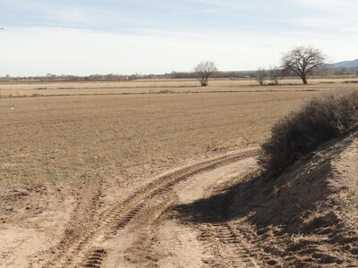 Community Road, Polvadera 