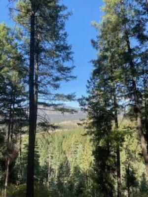 Los Griegos Lot 8-A Road, Jemez Springs 