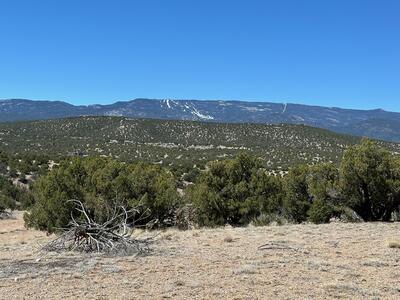 57 Cottonwood Trail, Sandia Park 