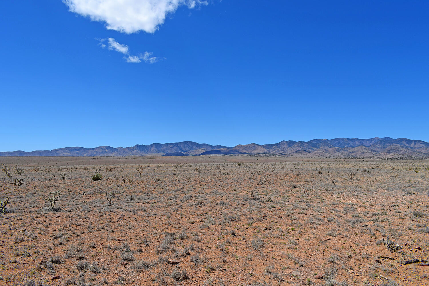 Lot 11 Prong Horn Road - Main Image