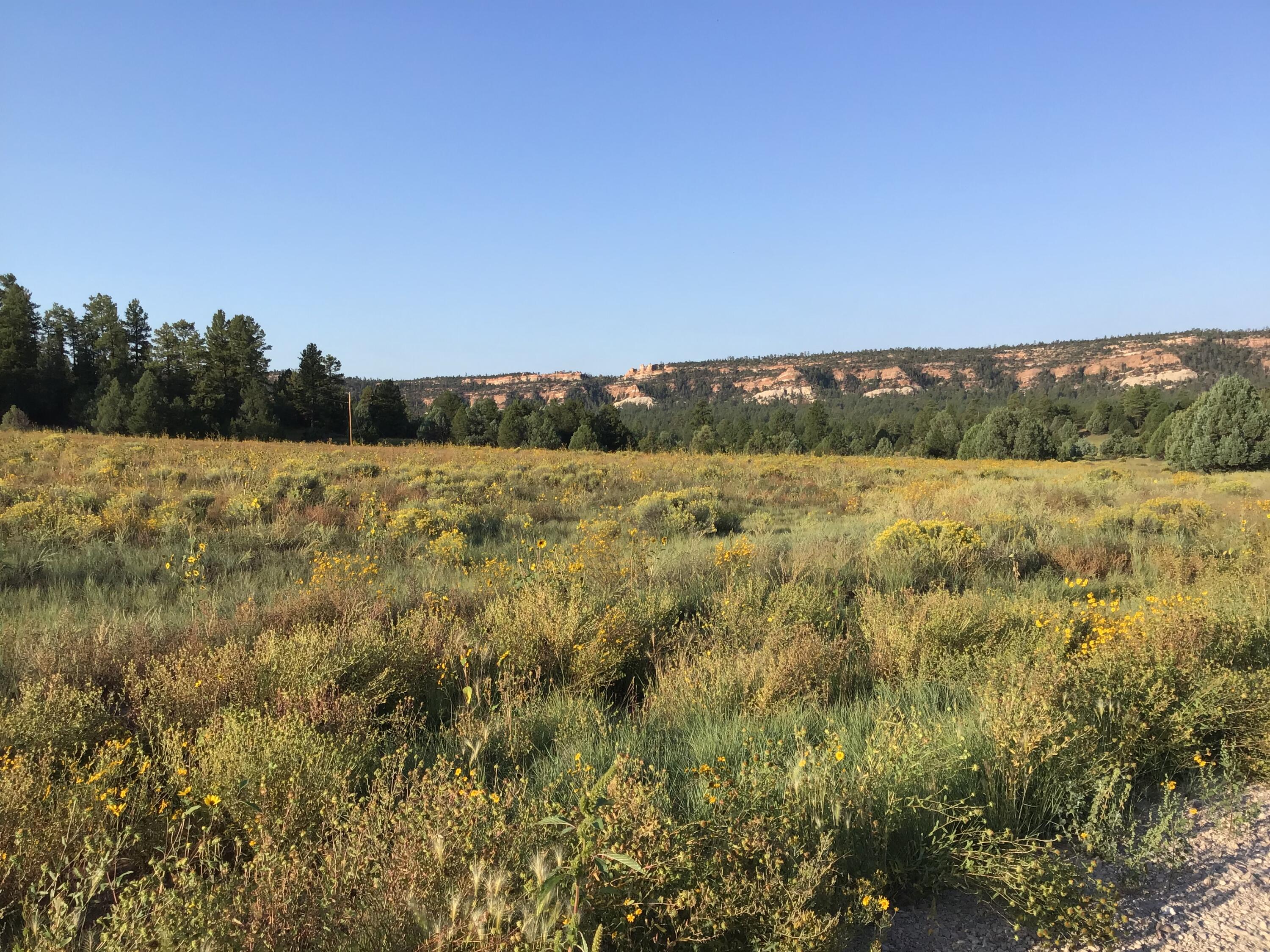Lot 14 E Elk Drive - Main Image