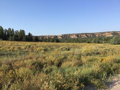 Lot 14 E Elk Drive, Ramah 
