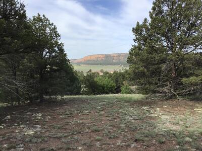 Lot 6 Sunflower Drive, Ramah 
