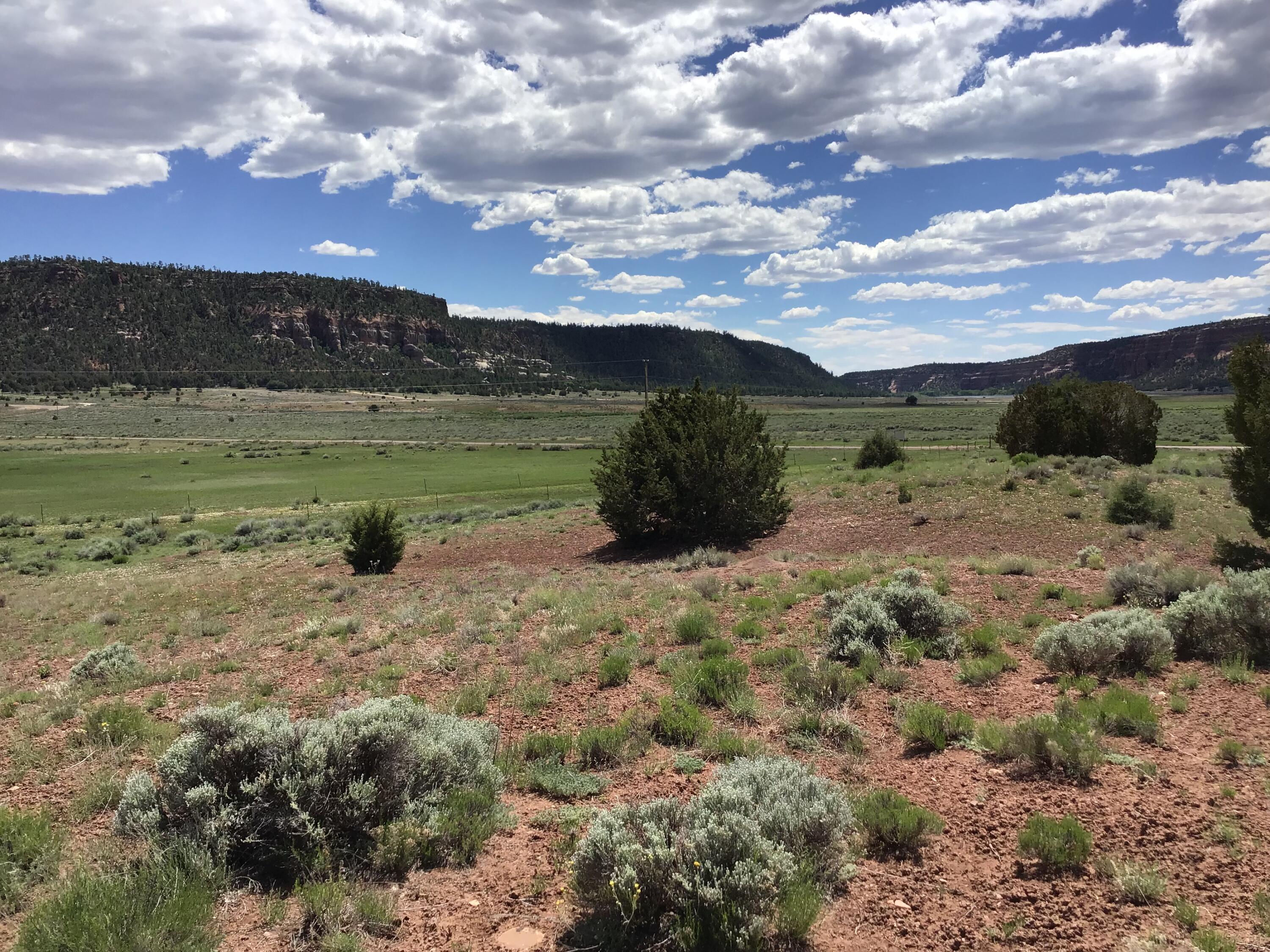 Lot D Timberlake Road - Main Image