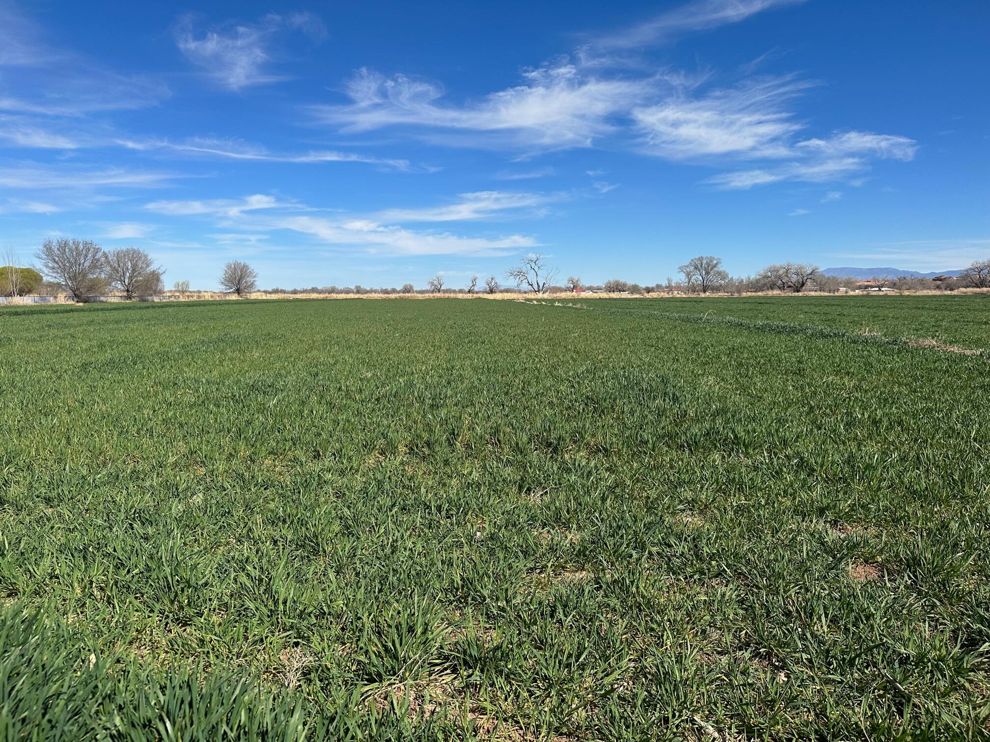 70 Jaramillo Loop - Main Image