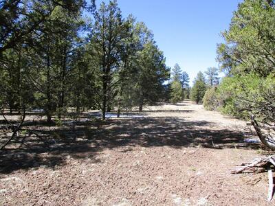 Lot 5 Copperweed Road, Ramah 