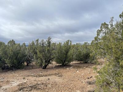 11 Raindance Road, Sandia Park 