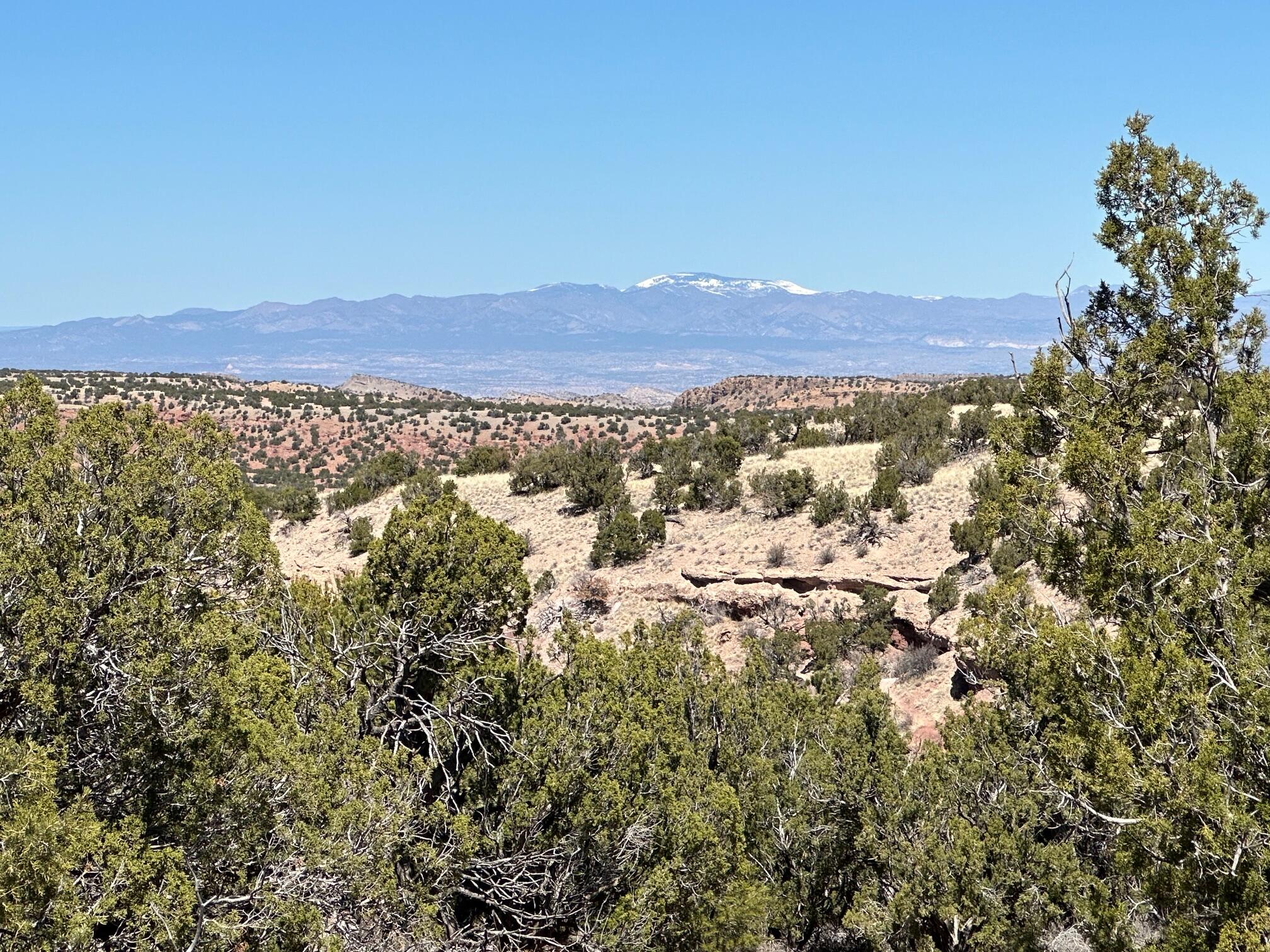 12 Creekside Trail - Main Image