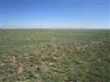 Palomino Dr (Lot 23) - Main Image