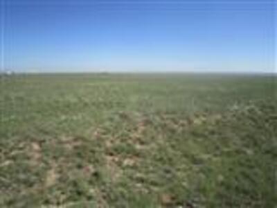 Palomino Dr (Lot 23), Moriarty 