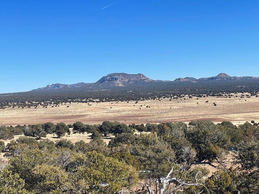 319 Hwy 603 - Main Image