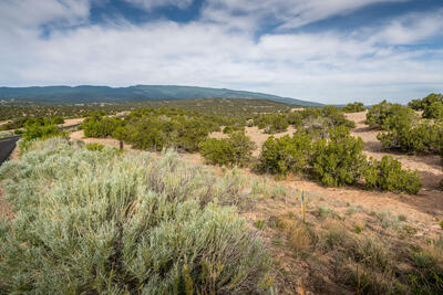 25 Stage Coach Trail, Sandia Park 