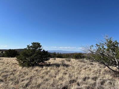 237 Meadows Road, Placitas 