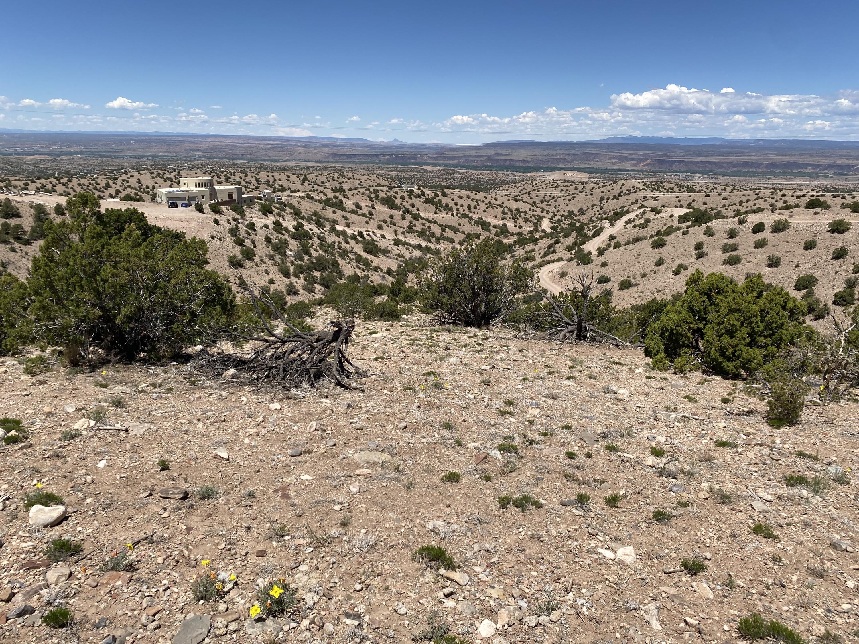 Camino Halcon - Main Image