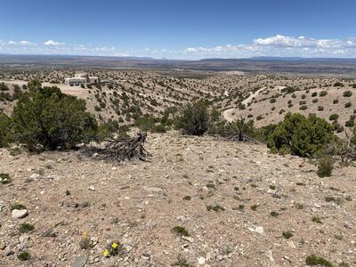 Camino Halcon, Placitas 