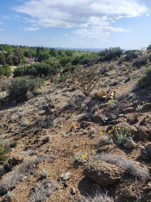 1215 HIDEAWAY Lane SE, Albuquerque 