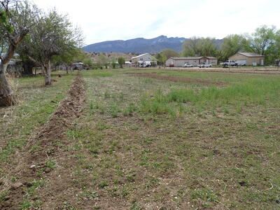 926 Oak Street A-2, Bernalillo 