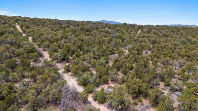 92 Bella Vista Road, Edgewood 