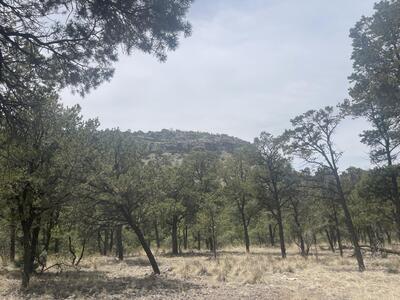 Lot 30 Hop Canyon, Magdalena 