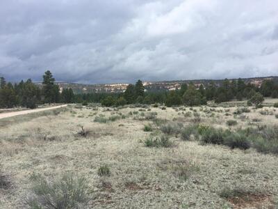Lot 2 East Elk Road, Ramah 