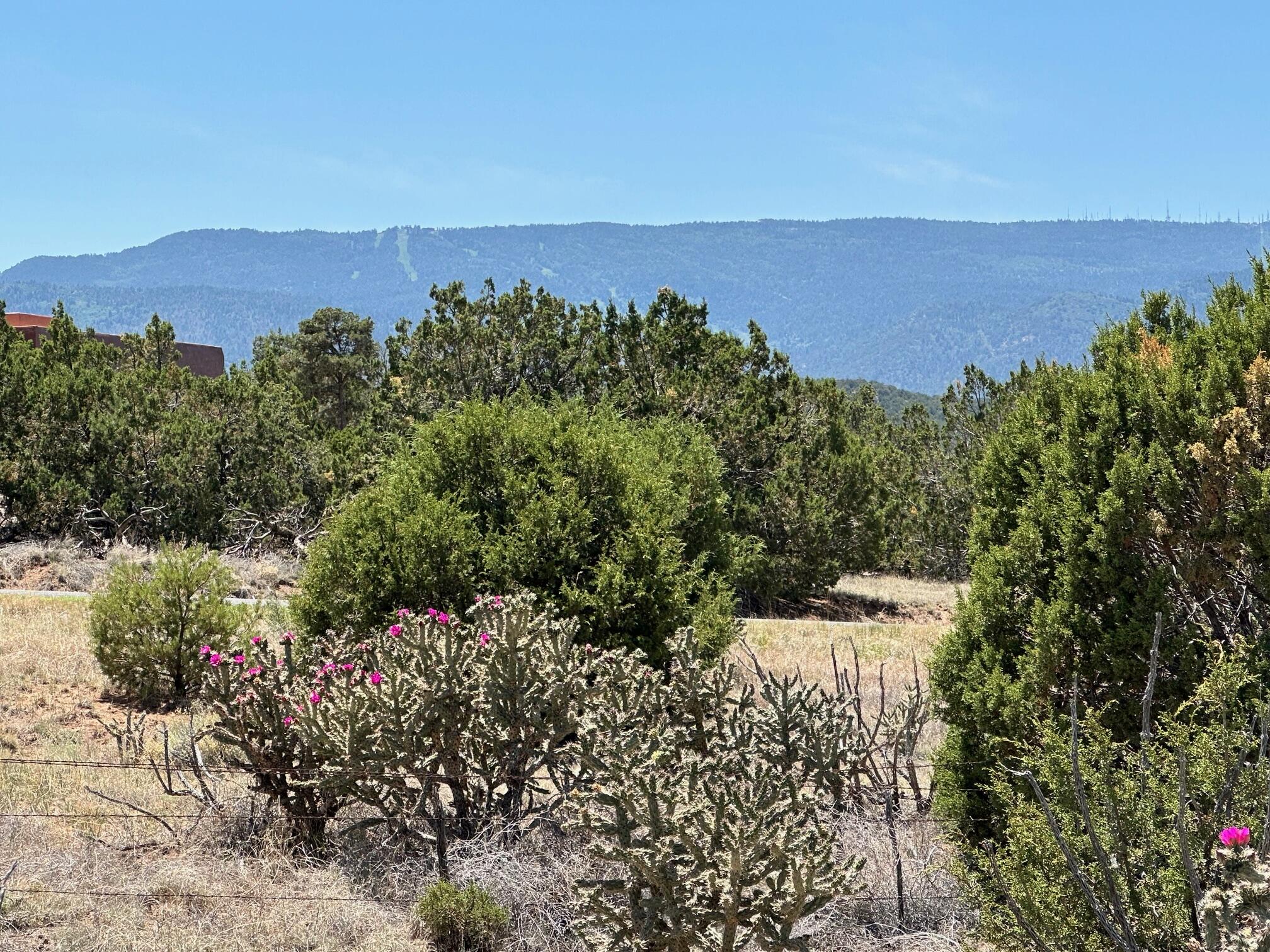 29 Via Entrada - Main Image